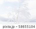 雪山　登山　バックカントリー 58655104