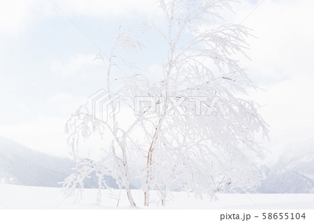 雪山　登山　バックカントリー 58655104