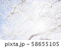 雪山　登山　バックカントリー 58655105