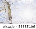 雪山　登山　バックカントリー 58655106