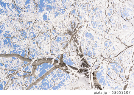 雪山　登山　バックカントリー 58655107