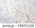 雪山　登山　バックカントリー 58655108