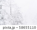 雪山　登山　バックカントリー 58655110