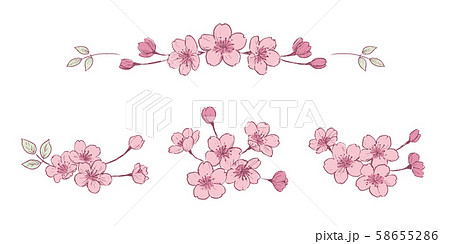 桜 ペン画 カラー セットのイラスト素材