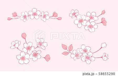 桜 ペン画 カラー セットのイラスト素材
