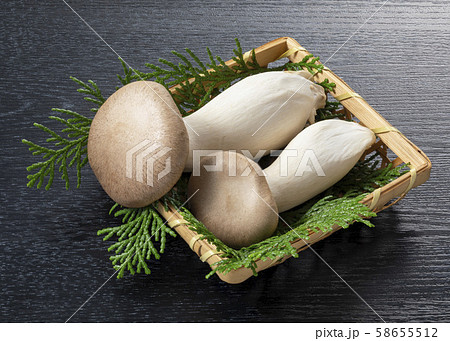 エリンギ 58655512