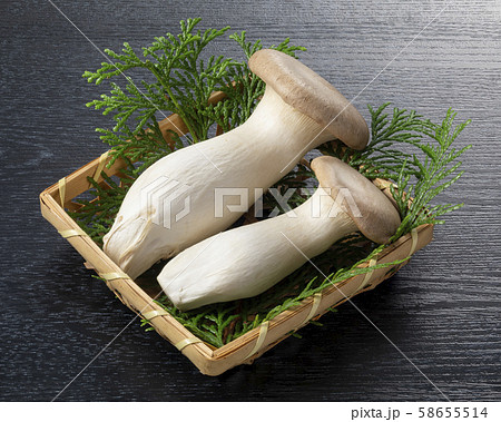 エリンギ 58655514