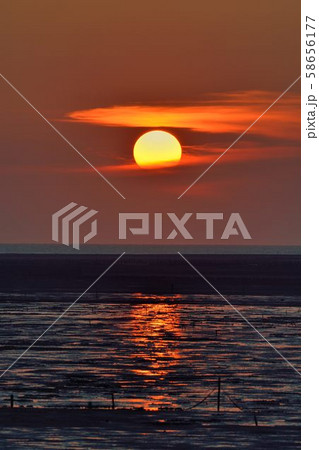 釣り フィッシング 魚釣り 58656177