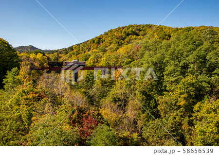 芦別市 旧三井芦別鉄道炭山川橋梁の紅葉 58656539