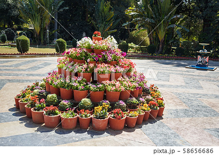 Saheliyon ki Bari gardens or Courtyard of the Saheliyon ki Bari gardens or Courtyard of the 58656686