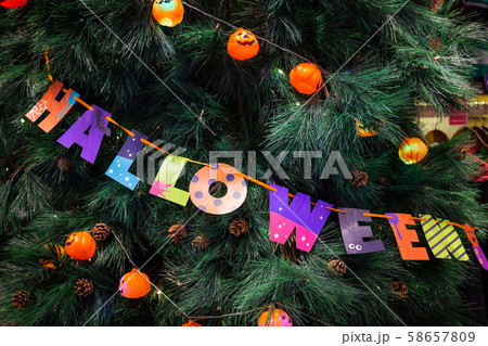 Pumpkins with lights and colored paper wrapping Halloween text decorated on trees at a Halloween party.Pumpkins with lights and colored paper wrapping Halloween text decorated on trees at a Halloween Pumpkins with lights and colored paper wrapping Halloween text decorated on trees at a Halloween party.Pumpkins with lights and colored paper wrapping Halloween text decorated on trees at a Halloween 58657809