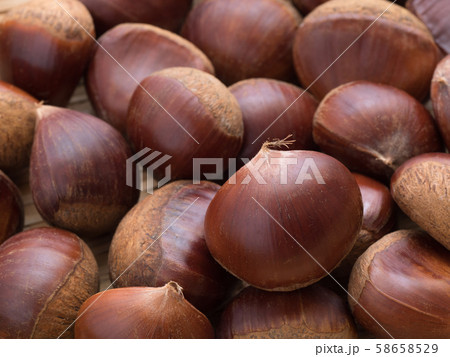 生の栗 58658529