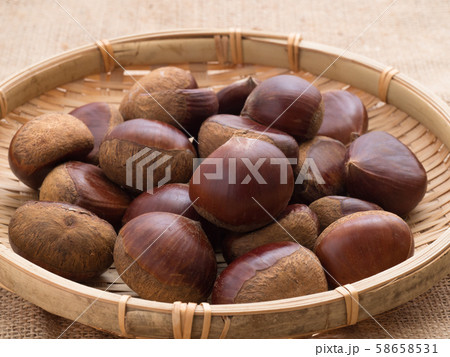 生の栗 58658531