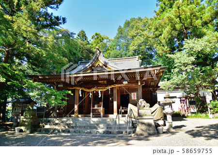 阿蘇神社 羽村市 阿蘇神社 羽村市 58659755