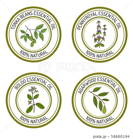 Set of essential oil labels 58660194