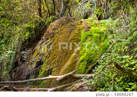 Krushuna Falls are a series of waterfalls in northern Bulgaria, near Lovech. They are famous with their landscape and are formed by many travertines and turquoise blue water. Krushuna Falls are a series of waterfalls in northern Bulgaria, near Lovech. They are famous with their landscape and are formed by many travertines and turquoise blue water. 58660267