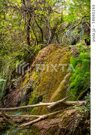 Krushuna Falls are a series of waterfalls in northern Bulgaria, near Lovech. They are famous with their landscape and are formed by many travertines and turquoise blue water. Krushuna Falls are a series of waterfalls in northern Bulgaria, near Lovech. They are famous with their landscape and are formed by many travertines and turquoise blue water. 58660269