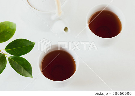 ほうじ茶 ほうじ茶 58660606
