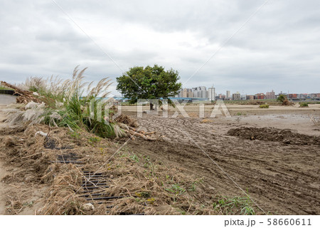 多摩川台風被害 58660611