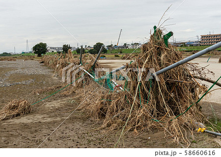 多摩川台風被害 58660616