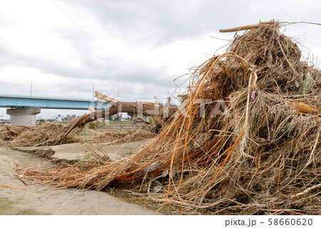 多摩川台風被害 58660620