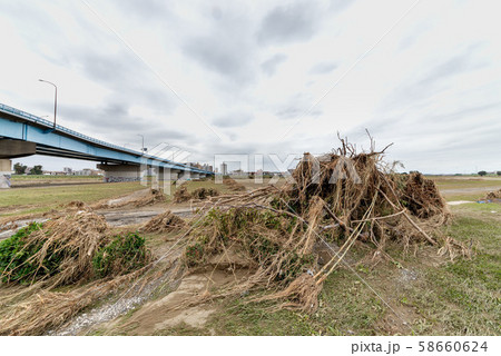 多摩川台風被害 多摩川台風被害 58660624