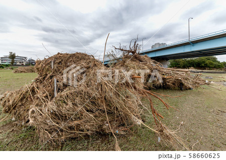 多摩川台風被害 58660625