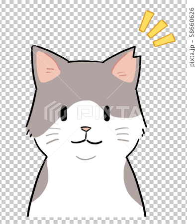 Cat with cut ears 58660626