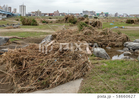 多摩川台風被害 多摩川台風被害 58660627
