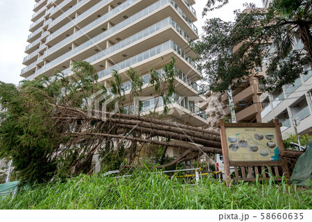 多摩川台風被害のイメージ 58660635