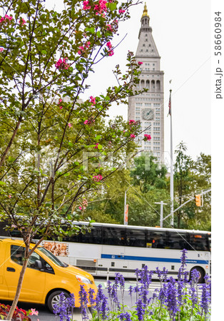 Flowers, taxi and bus at Madison Square, New York Flowers, taxi and bus at Madison Square, New York 58660984