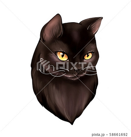 Black Cat Cartoon Illustration For Halloweenのイラスト素材