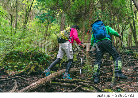 トレッキング　シニア 58661732