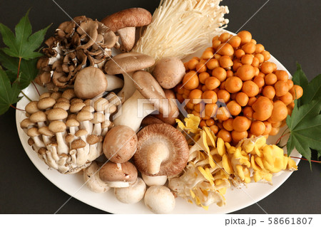 茸の盛り合わせ 58661807