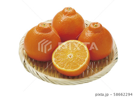 ミネオラタンジェロ01（パス付） 58662294