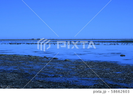 野付半島 野付半島 58662603