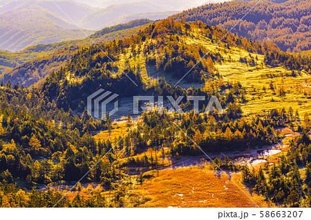 朝日に照らされる芳ヶ平湿原の紅葉・日本国道標高最高地点から 58663207
