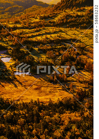 朝日に照らされる芳ヶ平湿原の紅葉 日本国道標高最高地点からの写真素材