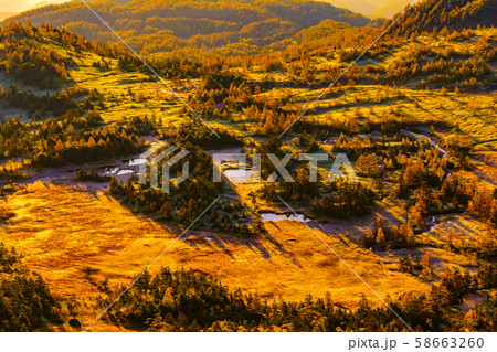 朝日に照らされる芳ヶ平湿原の紅葉・日本国道標高最高地点から 58663260