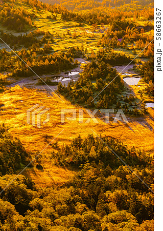 朝日に照らされる芳ヶ平湿原の紅葉・日本国道標高最高地点から 58663267