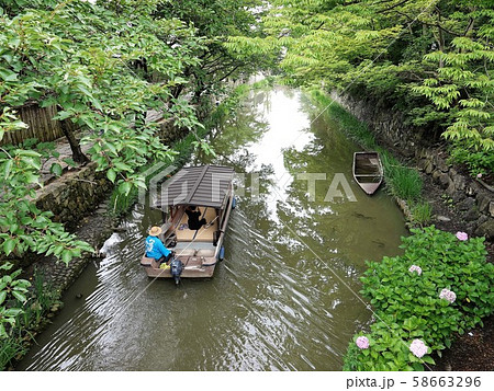滋賀の屋形舟で巡る「八幡掘り」の風景 58663296