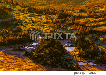 朝日に照らされる芳ヶ平湿原の紅葉・日本国道標高最高地点から 58663306