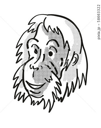 Sumatran Orangutan  Endangered Wildlife Cartoon 58663322