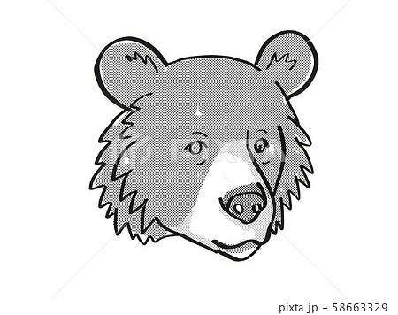 Asiatic Black Bear or Ursus tibetanus Endangered 58663329