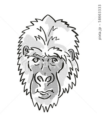 Eastern Gorilla or Gorilla Berengei Endangered 58663333