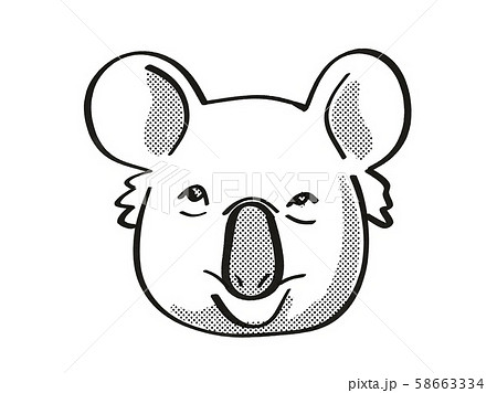 Koala or Phascolarctos Cinereus Endangered 58663334