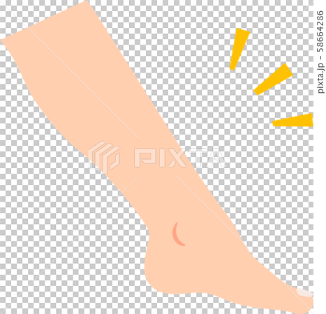 Side of foot from calf to foot Side of foot from calf to foot 58664286