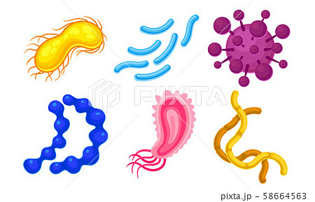 Different Microorganisms Isolated On White Background Vector Illustrated Set Different Microorganisms Isolated On White Background Vector Illustrated Set 58664563