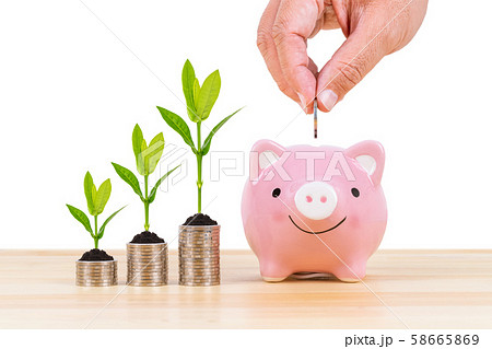 Piggy bank, coin stack, and growing tree leaves, 58665869