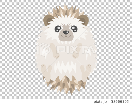 刺猬 刺猬 58666595